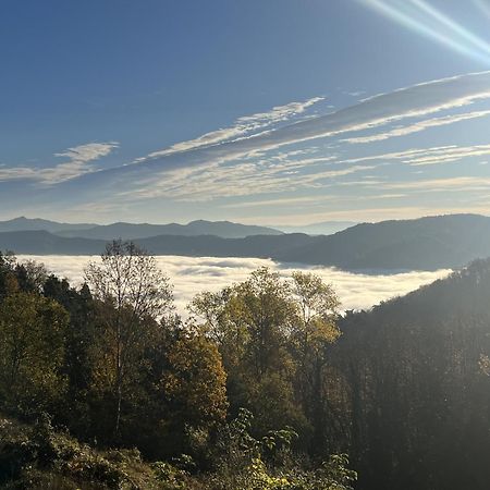 Case Vista Alta Langa, Studio Belbo Cravanzana Экстерьер фото
